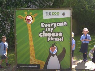 School Trip to the Zoo